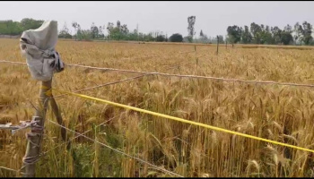 Property for sale in Garhmukteshwar, Hapur