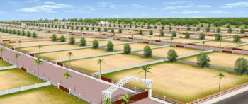 Agricultural/Farm Land for Sale in Dholera, Ahmedabad (12 Bigha)