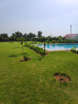 3 Acre Agricultural/Farm Land for Sale in Bilaspur, Gurgaon