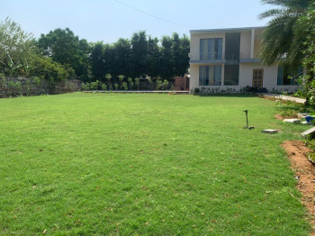 3 BHK Villa for Sale in Tauru, Nuh (1 Acre)