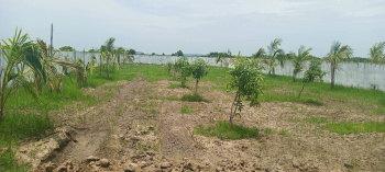 10000 Sq.ft. Agricultural/Farm Land for Sale in Chengalpet, Chennai