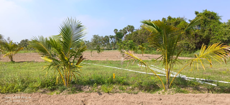 10635 Sq.ft. Agricultural/Farm Land for Sale in Chengalpet, Chennai