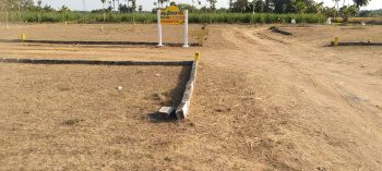 1200 Sq.ft. Residential Plot for Sale in Uthiramerur, Kanchipuram