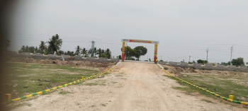 1200 Sq.ft. Residential Plot for Sale in Tiruvethipuram, Tiruvannamalai