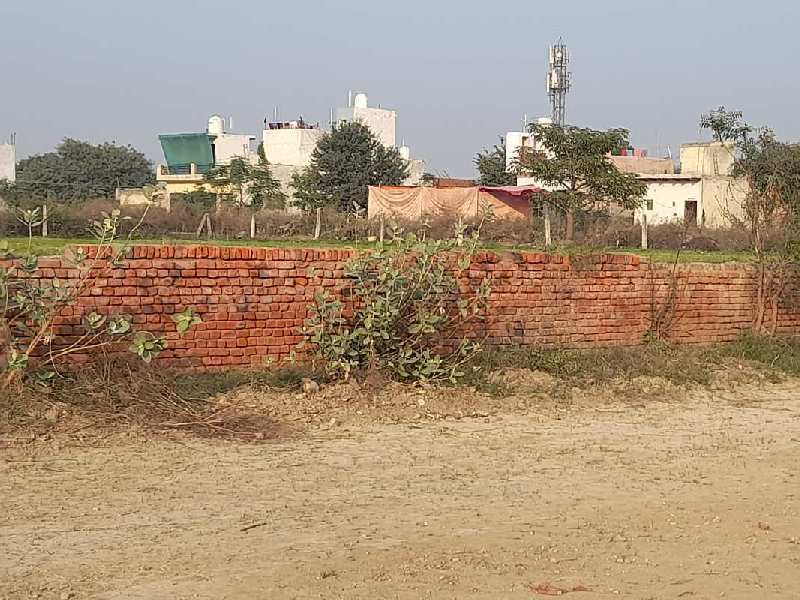 900 Sq.ft. Residential Plot for Sale in Bhopani, Faridabad