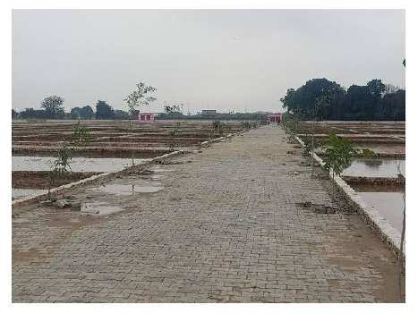 70 Sq. Yards Residential Plot for Sale in Jewar, Gautam Buddha Nagar