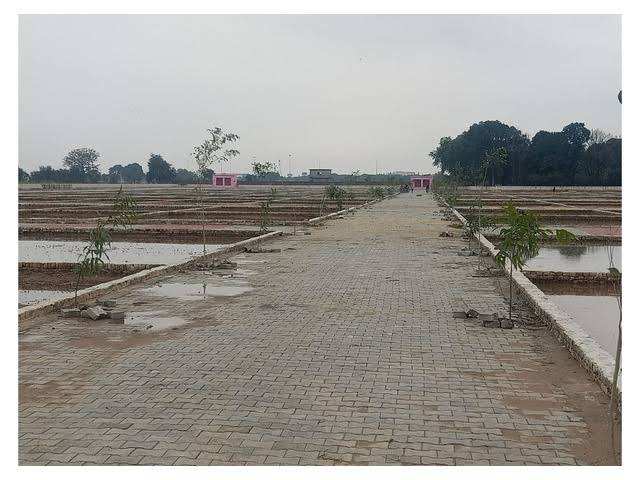 70 Sq. Yards Residential Plot for Sale in Jewar, Gautam Buddha Nagar