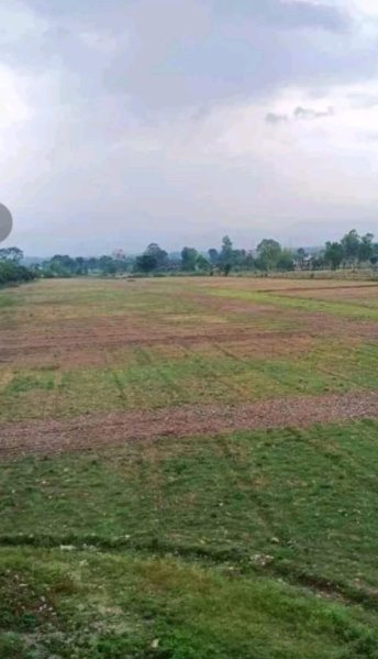 100 Sq. Yards Residential Plot for Sale in Selakui, Dehradun