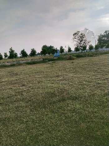 Gated community open plots at Kottur