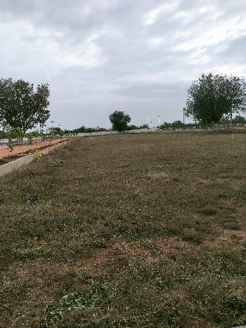 Hmda approved Open plots at back side of DLF IT park ,Kothur
