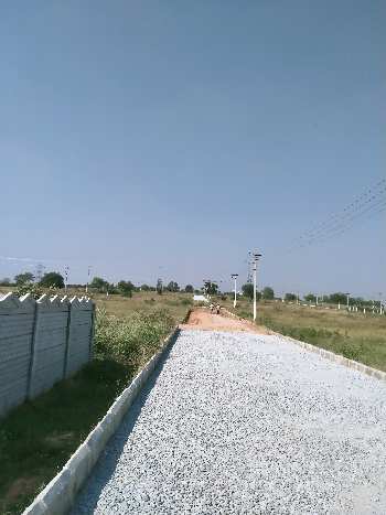 Gated community open plots at Shadnagar