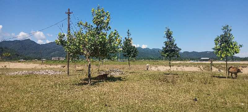 700 Bigha Industrial Land / Plot For Sale In Silapathar, Dhemaji