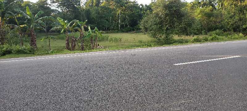 3 Bigha Residential Plot For Sale In Silapathar, Dhemaji
