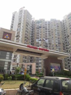 2.5 BHK Flats & Apartments for Rent in Sector 77, Noida (1165 Sq.ft.)