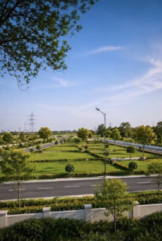 100 Sq. Yards Residential Plot for Sale in Sector 148, Noida, Noida