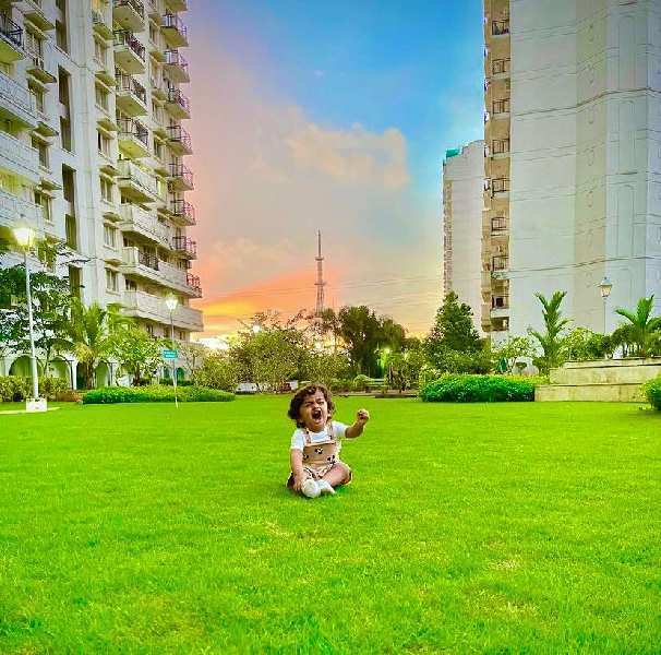 3 BHK Flats & Apartments for Sale in Kakkanad, Kochi (1700 Sq.ft.)