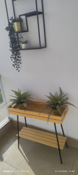 Property for sale in Saddu, Raipur