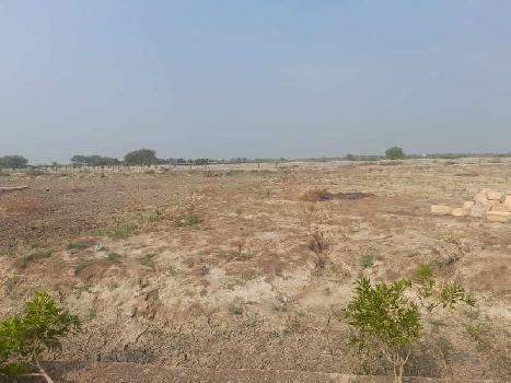 1 Bigha Agricultural/Farm Land for Sale in Dholera, Ahmedabad