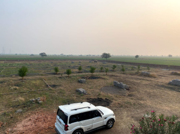 2000 Sq.ft. Residential Plot for Sale in Dholera, Ahmedabad