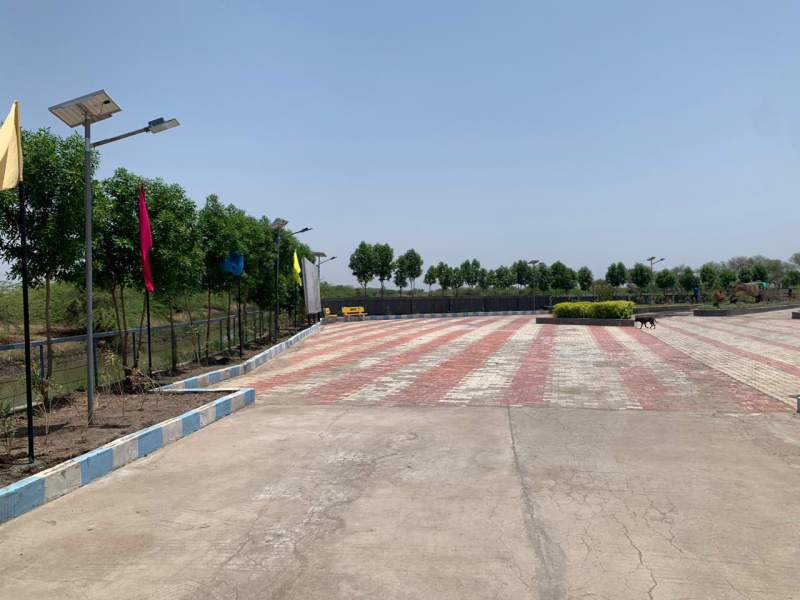 1575 Sq.ft. Residential Plot for Sale in Dholera, Ahmedabad