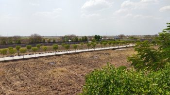 882 Sq.ft. Residential Plot for Sale in Dholera, Ahmedabad