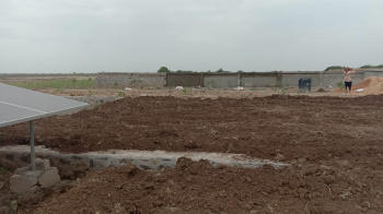 Residential Plot for Sale in Dholera, Ahmedabad (1200 Sq.ft.)