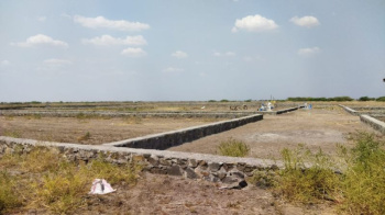 2826 Sq.ft. Residential Plot for Sale in Dholera, Ahmedabad