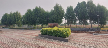 300 Sq. Yards Residential Plot for Sale in Dholera, Ahmedabad