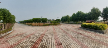 188 Sq. Yards Residential Plot for Sale in Dholera, Ahmedabad
