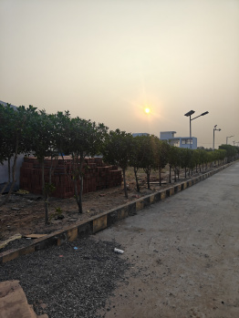 Residential Plot for Sale in Dholera, Ahmedabad (1500 Sq.ft.)