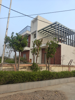 Residential Plot for Sale in Dholera, Ahmedabad (1100 Sq.ft.)