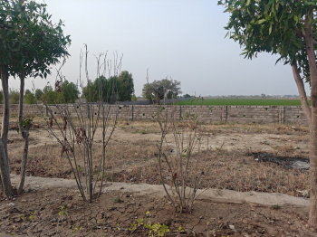 Residential Plot for Sale in Super Corridor, Indore (1000 Sq.ft.)
