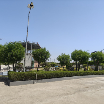 Residential Plot for Sale in Dholera, Ahmedabad (220 Sq. Yards)