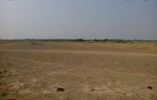 24.61 Bigha Commercial Lands /Inst. Land for Sale in Dholera, Ahmedabad