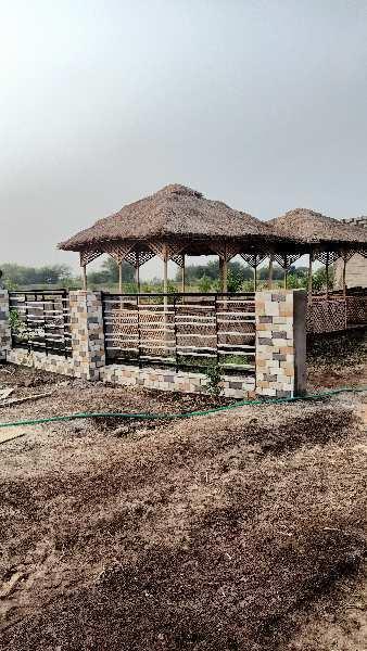 1170 Sq.ft. Residential Plot for Sale in Dholera, Ahmedabad
