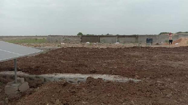 1 Bigha Agricultural/Farm Land for Sale in Dholera, Ahmedabad