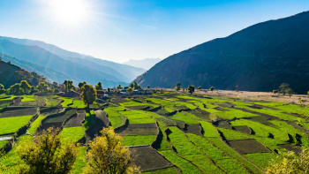 Property for sale in Lansdowne, Pauri Garhwal