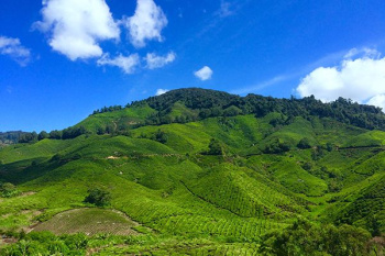 Property for sale in Lansdowne, Pauri Garhwal