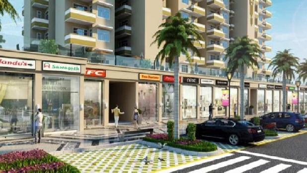 Society shop in Noida Extension