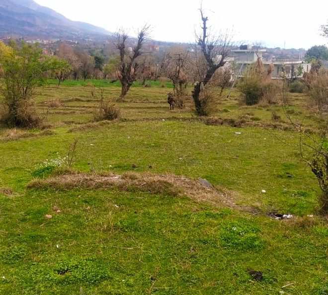 36000 Sq. Yards Agricultural/Farm Land For Sale In Shimla Bypass, Dehradun