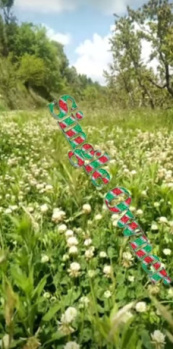 Property for sale in Mukteshwar, Nainital