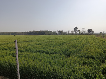 Property for sale in Ramnagar, Nainital