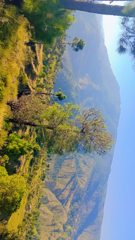 Property for sale in Mukteshwar, Nainital