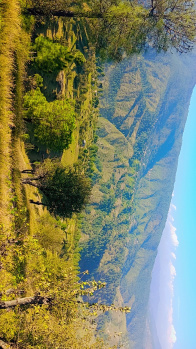 Property for sale in Mukteshwar, Nainital