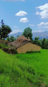 Individual Houses for Sale in Mukteshwar, Nainital (200 Sq. Meter)