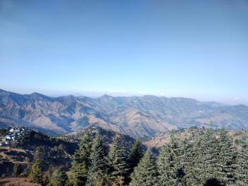 Property for sale in Lamgara, Almora