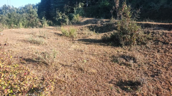 Property for sale in Lamgara, Almora