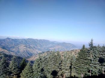 Property for sale in Lamgara, Almora