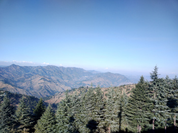250 Sq. Meter Residential Plot for Sale in Lamgara, Almora