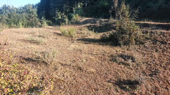 Property for sale in Lamgara, Almora